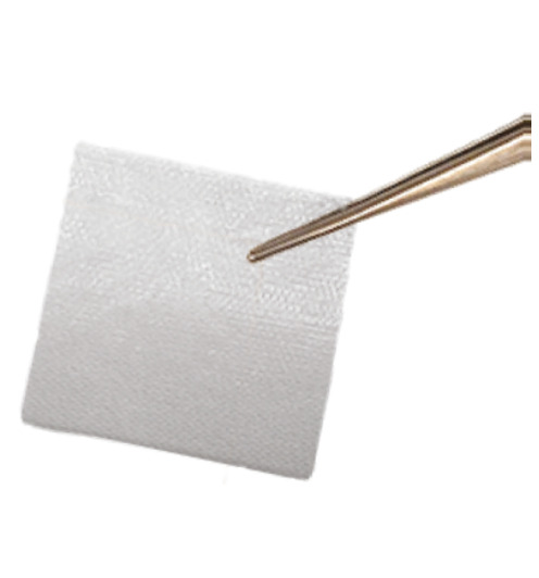 Allograft