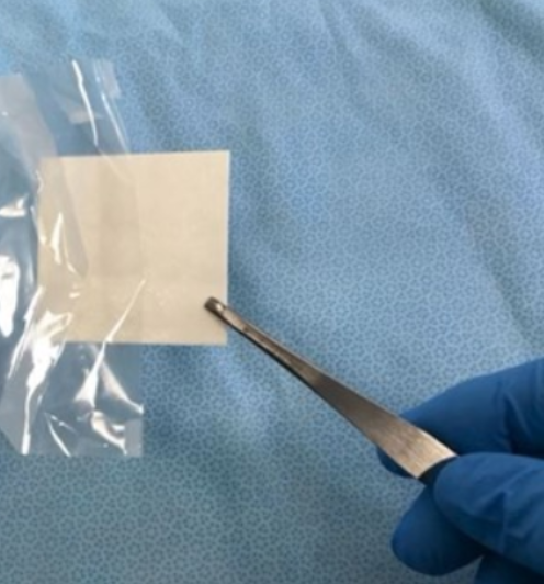 bioconekt